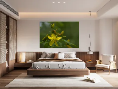 Goat Weed Reproduction