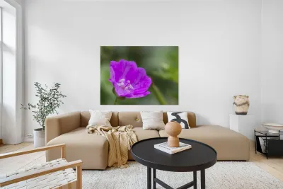 Wild One Reproduction