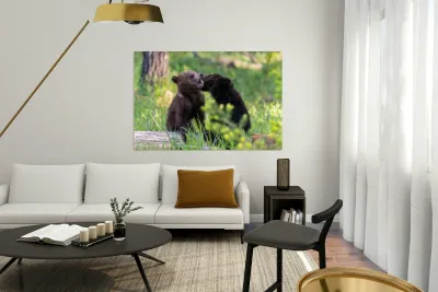 Grizzly Cubs Reproduction