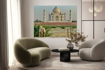 The Taj Mahal Collection 9 Reproduction