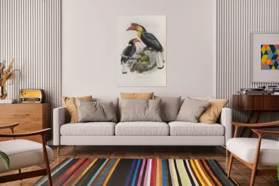 Cranorrhinus leucocephalus 1882 Reproduction