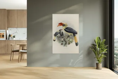 Penelopides affinis 1882 Reproduction