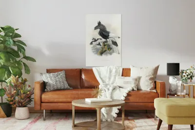 Bycanistes subcylindricus 1882 Reproduction