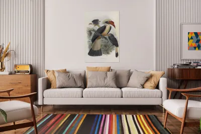 Penelopides panini 1882 Reproduction