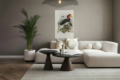 Rhinoplax vigil 1882 Reproduction