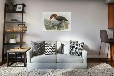 Hydrocorax planicornis 1882 Reproduction