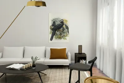 Anthracoceros malayanus 1882 Reproduction