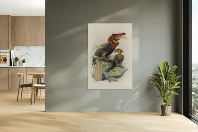 Hydrocorax mindanensis 1882 Reproduction