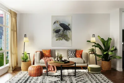 Anorrhinus comatus 1882 Reproduction