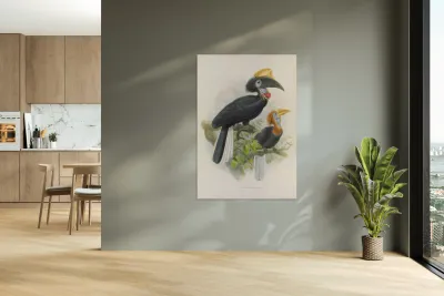 Ceratogymna elata 1882 Reproduction