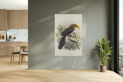 Tockus griseus 1882 Reproduction