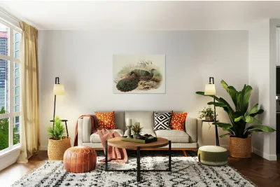 Polyplectron Germaini. 1872 Reproduction