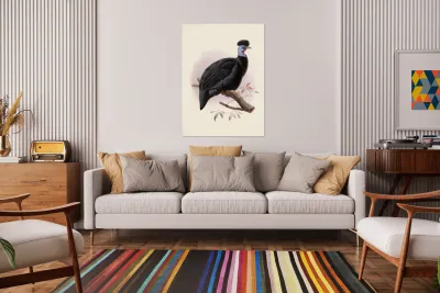 Numida Pucherani. 1872 Reproduction