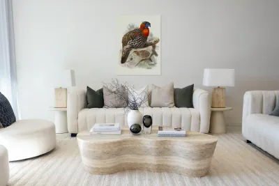 Ceriornis melanocephala. 1872 Reproduction