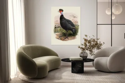 Numida Granti. 1872 Reproduction