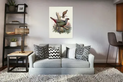 Ithaginis Geoffroyi. 1872 Reproduction