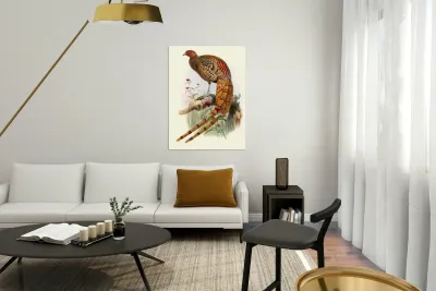 Phasianus Soemmerringi var scintillans. 1872 Reproduction