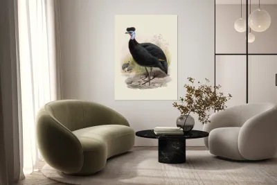 Numida cristata. 1872 Reproduction