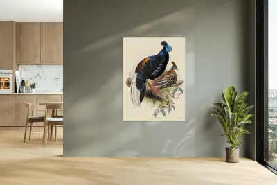 Euplocomus ignitus. 1872 Reproduction