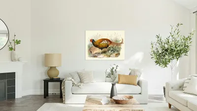 Phasianus insignis. 1872 Reproduction