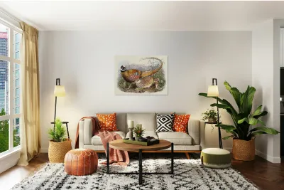 Phasianus Reevesii. 1872 Reproduction