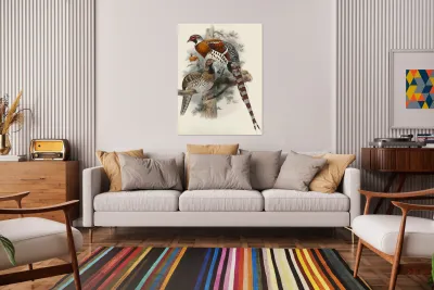 Calophasis Ellioti. 1872 Reproduction