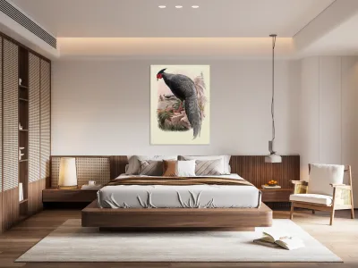 Euplocamus Andersoni. 1872 Reproduction