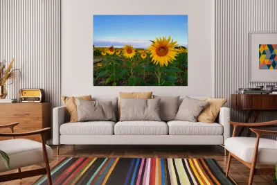 A Golden Gaze Reproduction