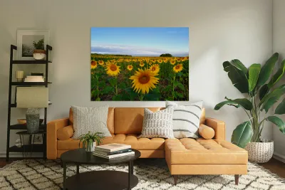 The Heart of Summer  Reproduction