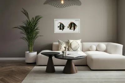 1. Chaetodon macrolepidotus 2. Chaetodon cornutus Reproduction