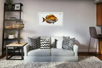 Surgeon Chaetodon Chirurgus Reproduction