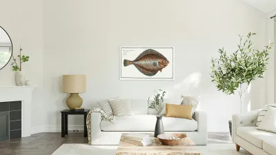 Plaise Pleuronectes Platessa Reproduction