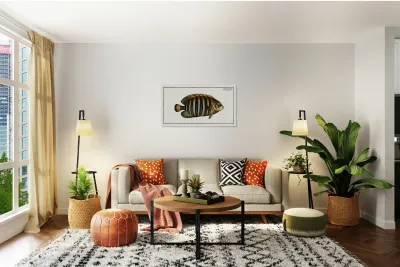 Chaetodon fasciatus Reproduction