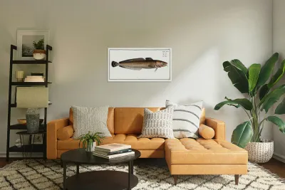 Ling Gadus Molva Reproduction