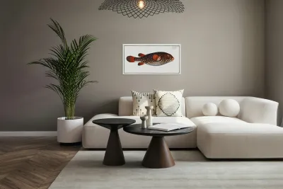 Toadfish Tetrodon Testudineus Reproduction