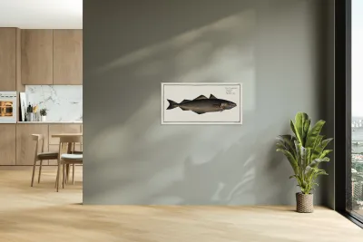 Coal Fish Gadus Carbonarius Reproduction