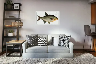 Bream Cyprinus Brama Reproduction