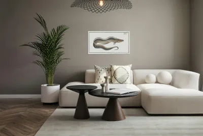 Sword-Fish Trichiurus Lepturus Reproduction