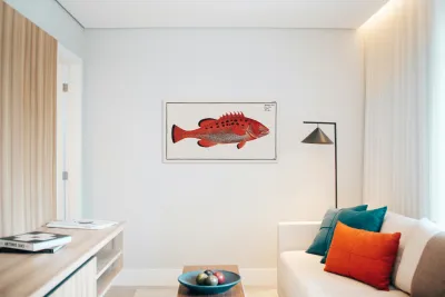 Apue Bodianus apua Reproduction