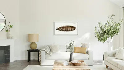 Pleuronectes Zebra Reproduction