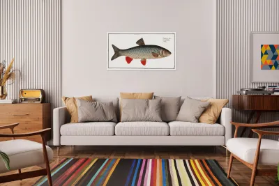 Idus-Carp Cyprinus Idus Reproduction