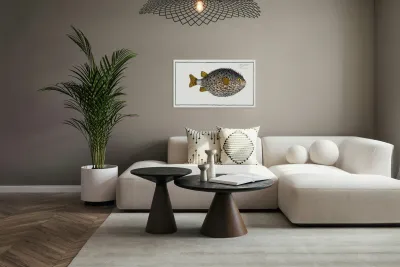 Round Diodon Diodon Hystrix Reproduction