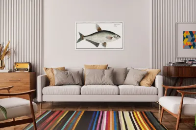 Baller-Carp Cyprinus Ballerus Reproduction