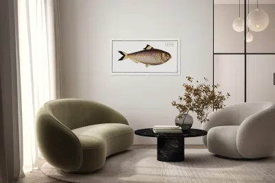 Chinese Herring Clupea sinensis Reproduction