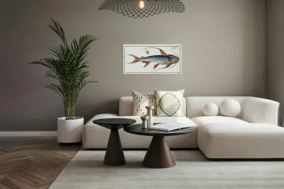 Saltwater Katfish Silurus Bagre Reproduction