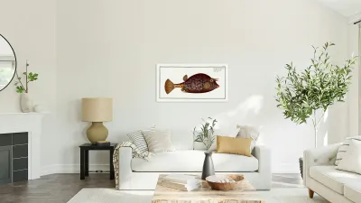 Cuckold-fish Ostracion Quadricornis Reproduction