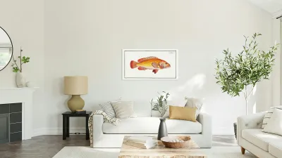 Holocentrus auratus Reproduction