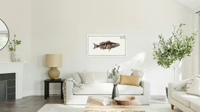 Checkred Holocentre Holocentrus tigrinus Reproduction