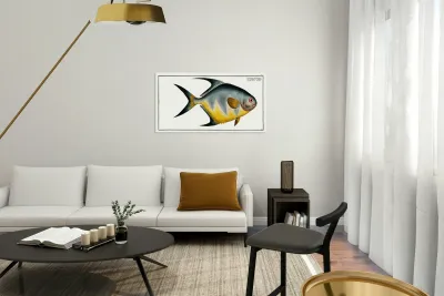 Chaetodon rhomboides Reproduction