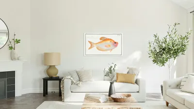 Kyrtus indicus Reproduction